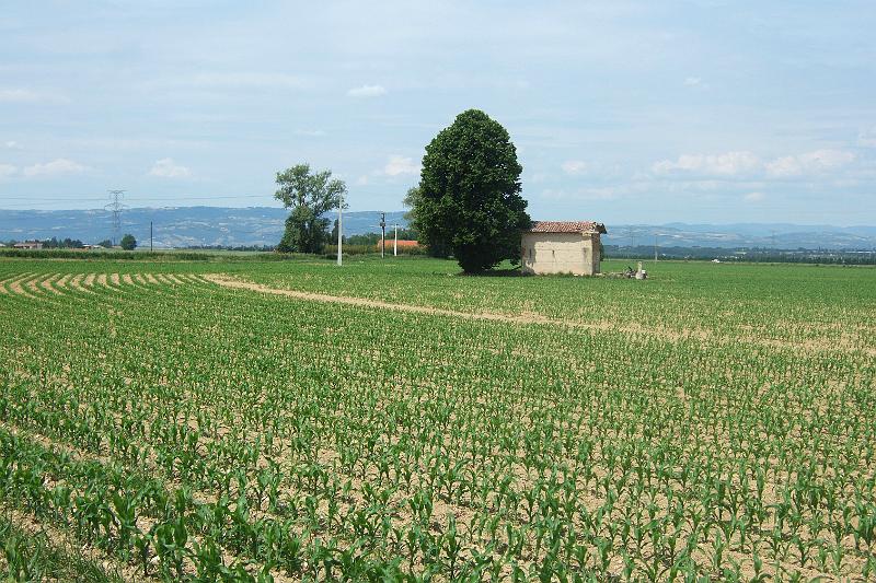 2011-05- (1315).JPG